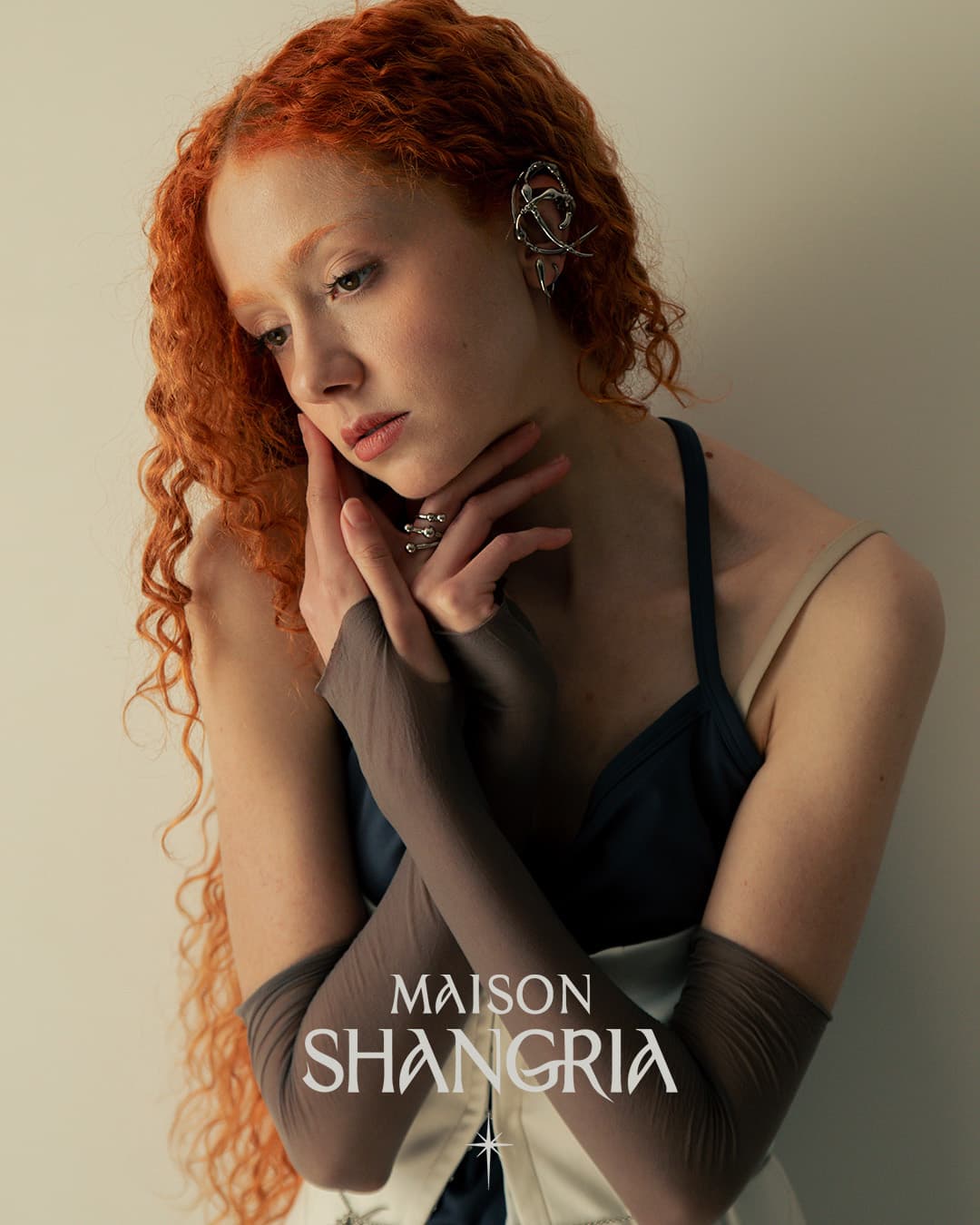 Maisonshangria