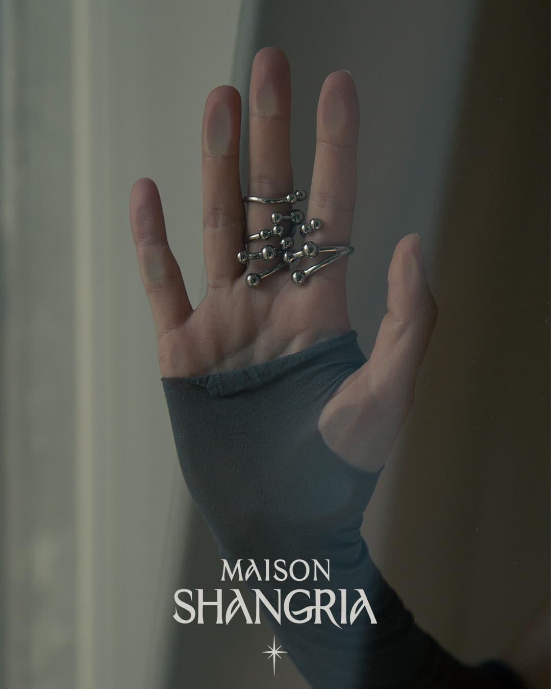Maisonshangria