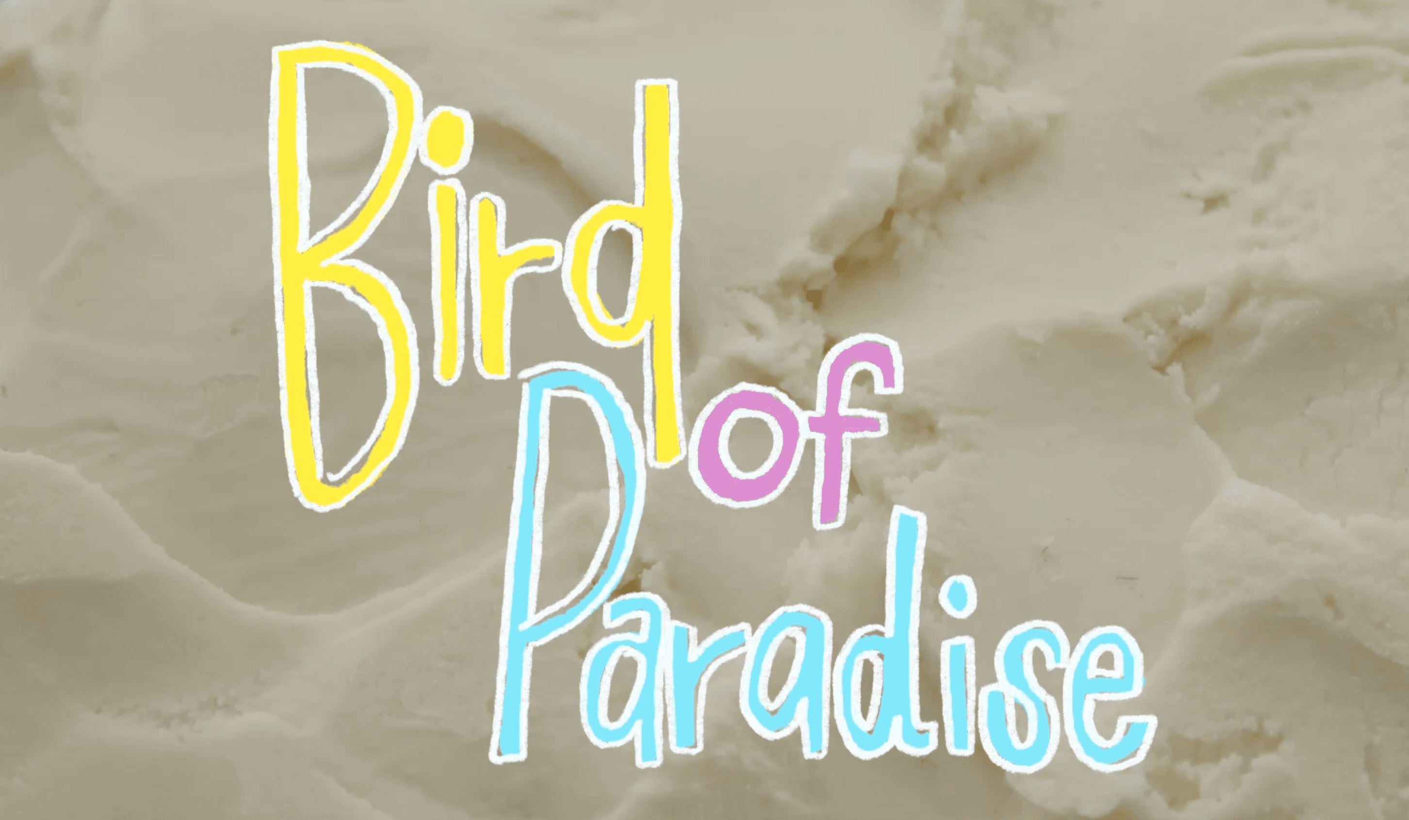 Bird of Paradise